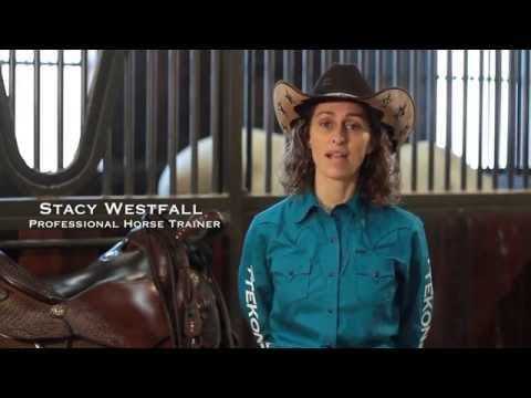 Before Loading Your Horse, Get Tekonsha®