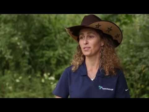 Stacy Westfall Stops at the Van Buren State Park