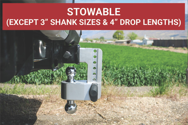Weigh Safe 180 Hitch - Drop Hitch w/Chrome Combo Ball - 6" Drop for 3" Shank w/Hitch Pin CTB6-3-KA
